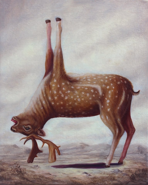 Художник из Франции представил, как выглядели бы животные, займись они йогой